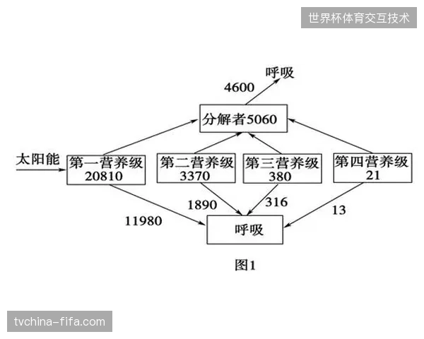 体育赛事执行市场已跳过单点服务阶段进入系统级整合时期